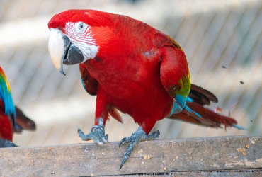 Projeto Ares atração do Hot Park Projeto Ares atração do Hot Park